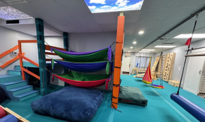 Therapy Center