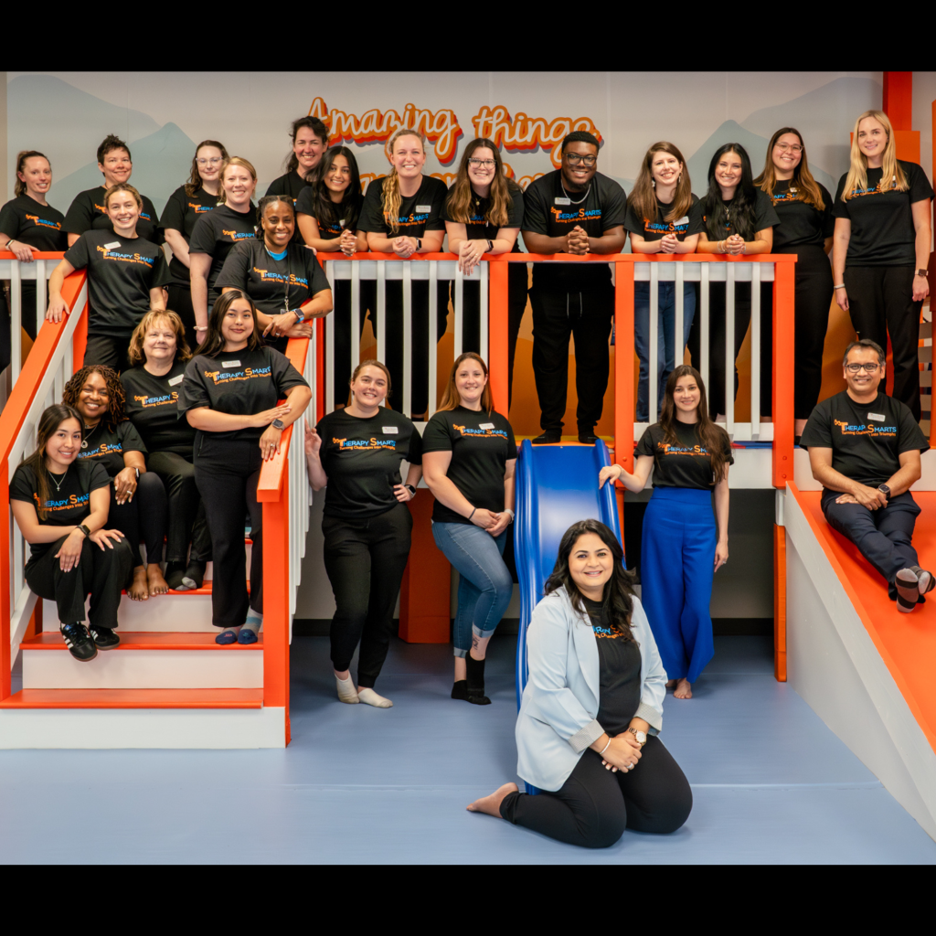 Therapy Smarts Team
